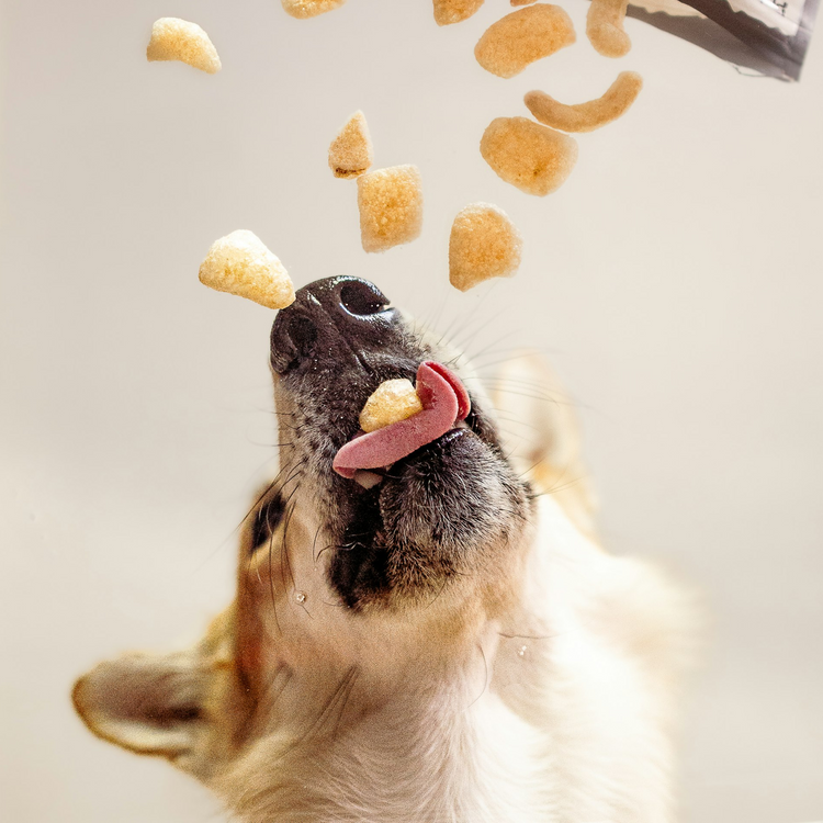 Pet Treats & Snacks