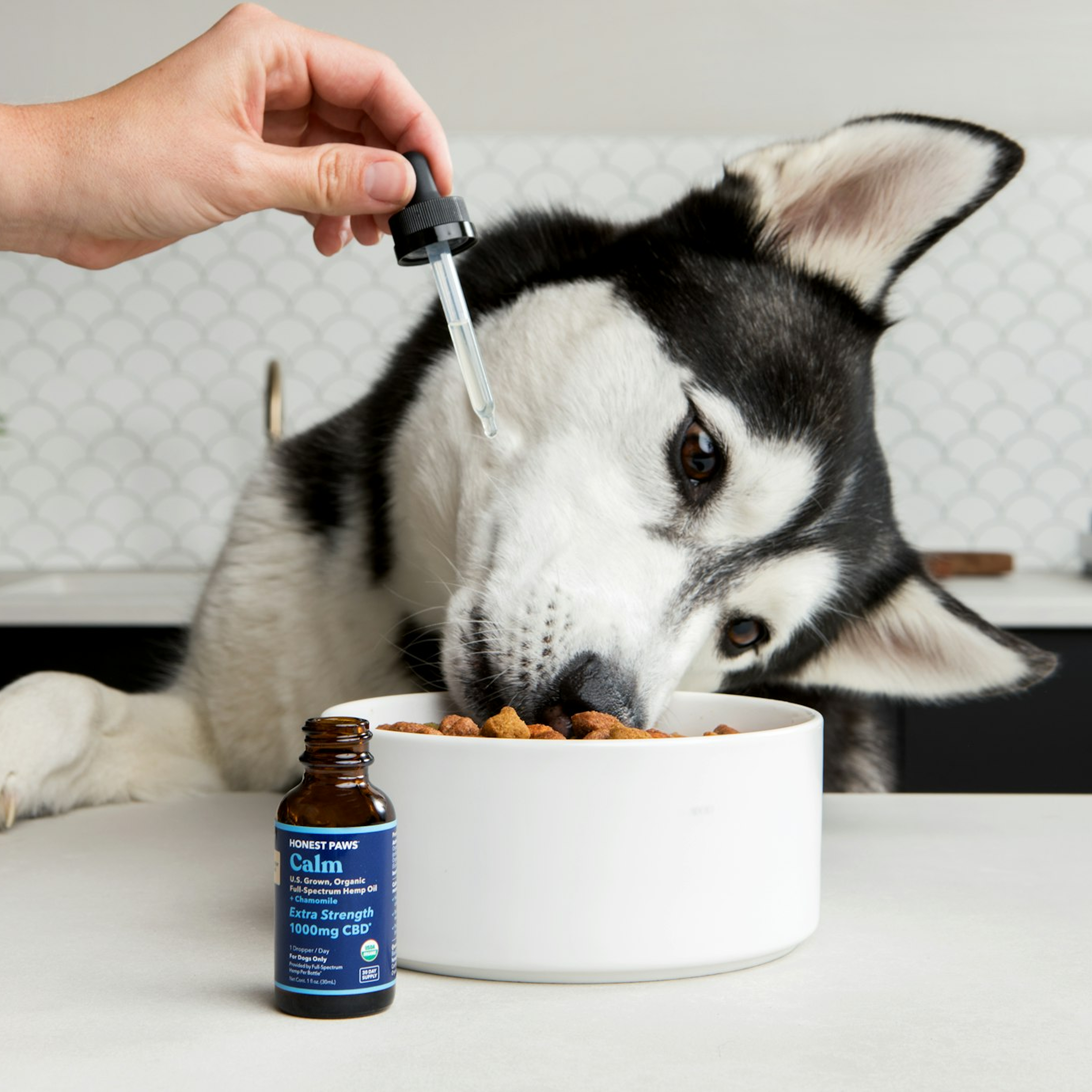 Pet Nutrition & Supplements