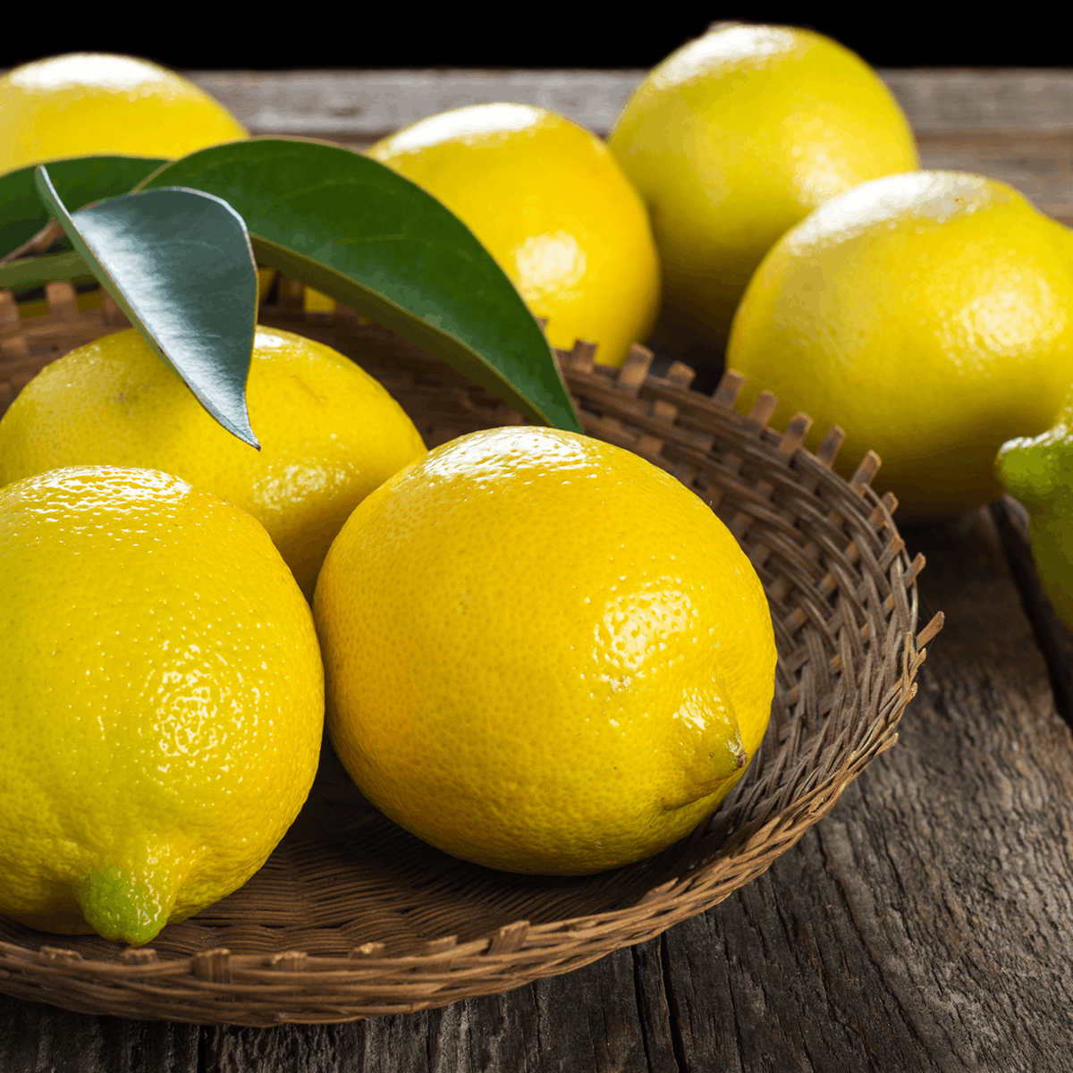 Premium Lemons (Set of 4)