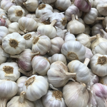 Premium White Garlic Bulbs