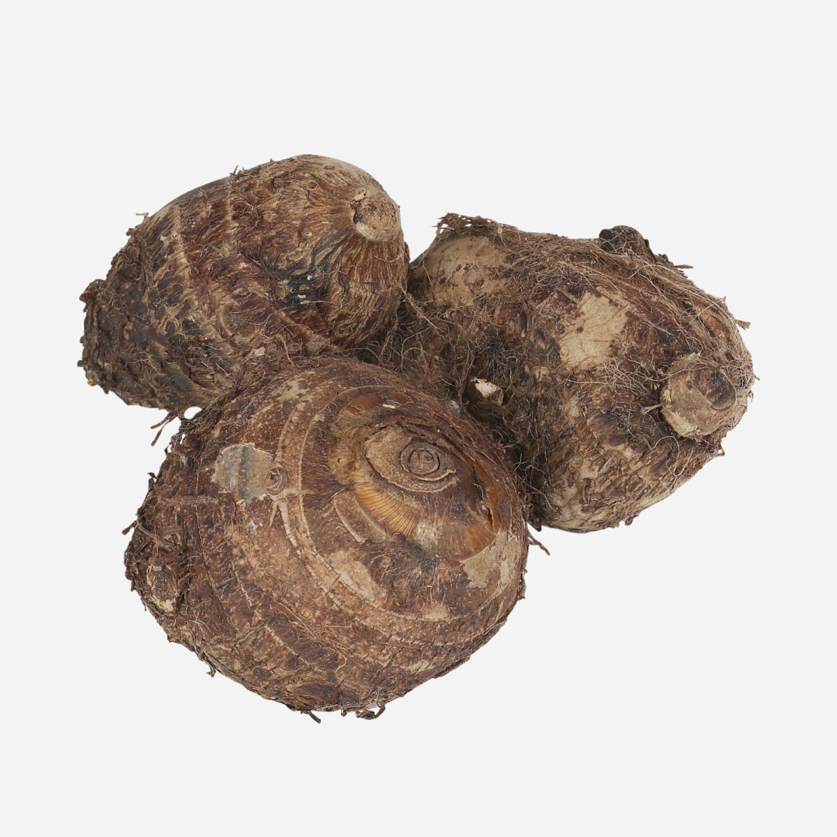 Premium Fresh Taro Root