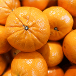 Navel Oranges — Fresh & Juicy (4-pack)