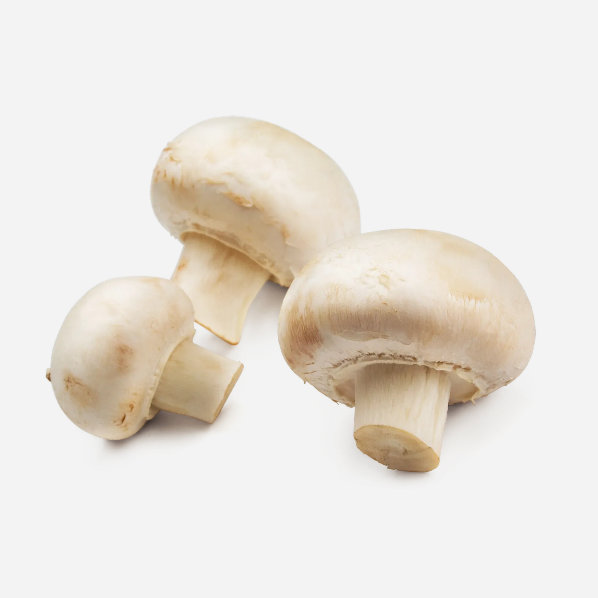 Fresh White Button Mushrooms