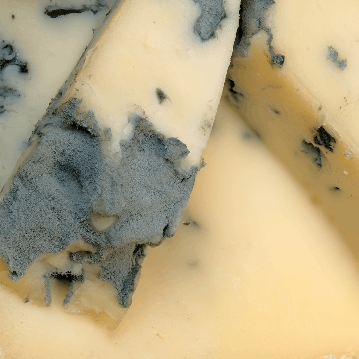 Artisanal Blue Cheese Wedge