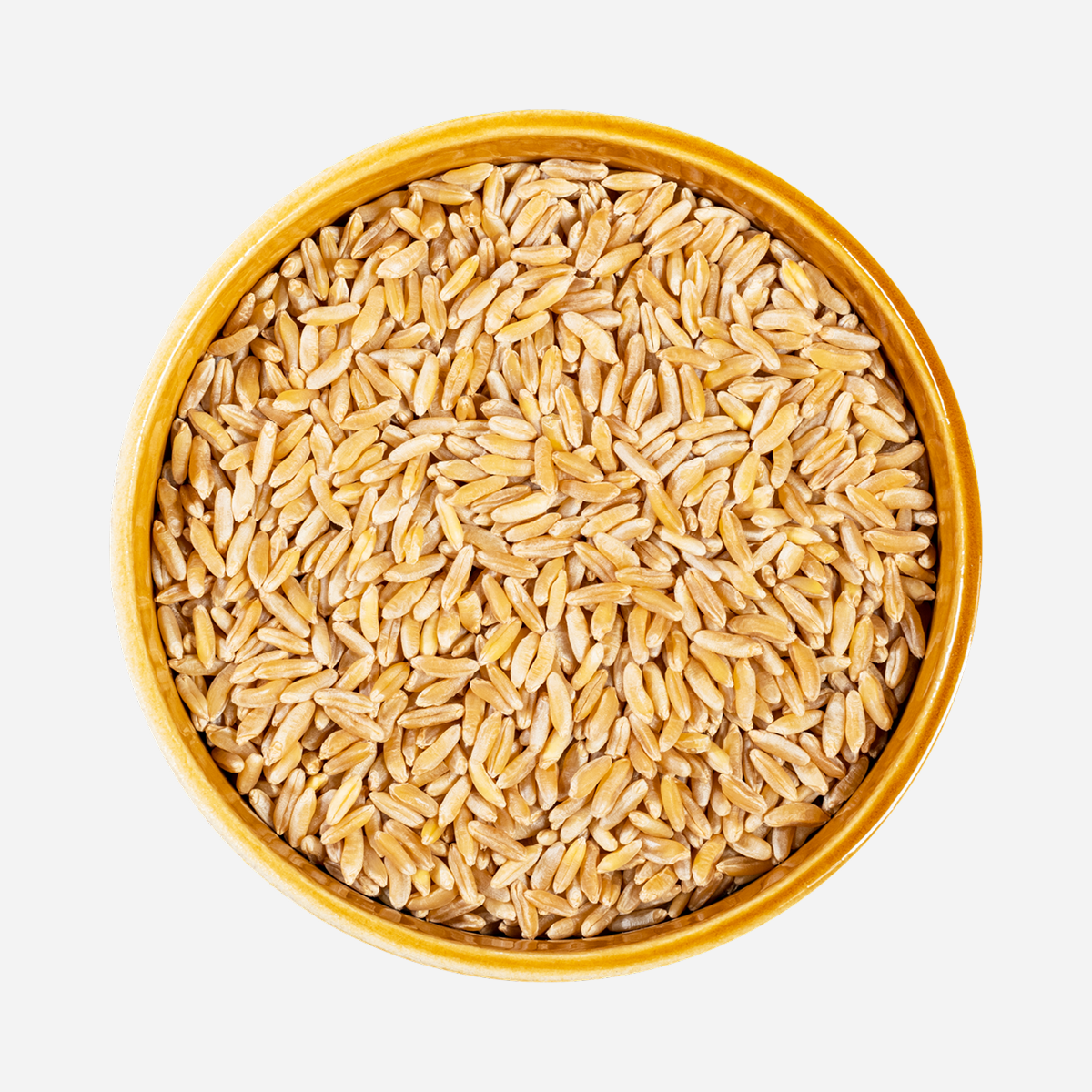 Whole Grain Wheat Berries