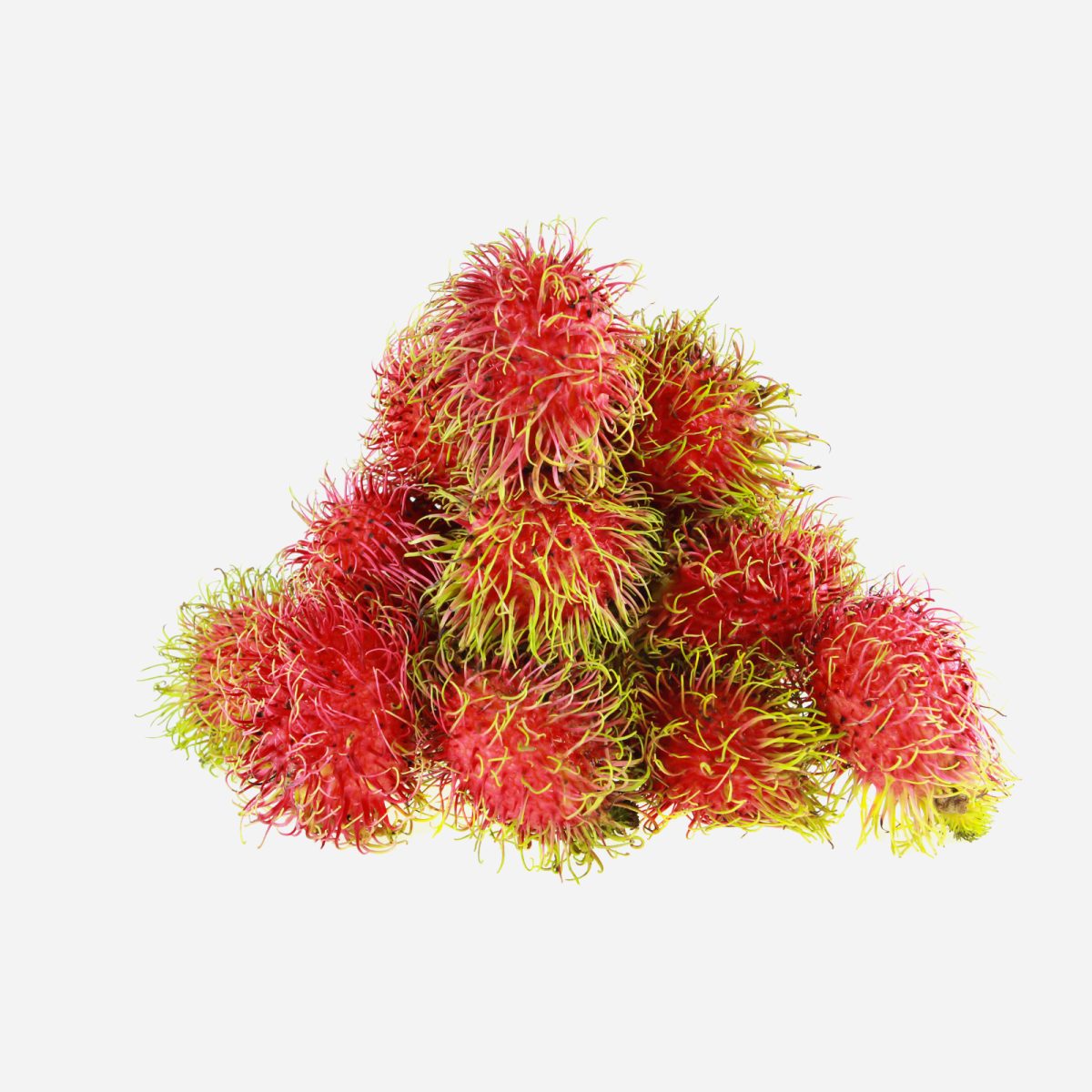 Rambutan — Fresh Tropical Rambutan (Pack of 10)