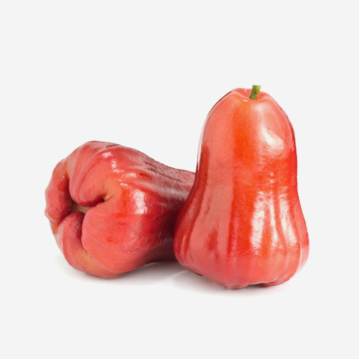 Rose Apple (Wax Apple) — Fresh & Crisp