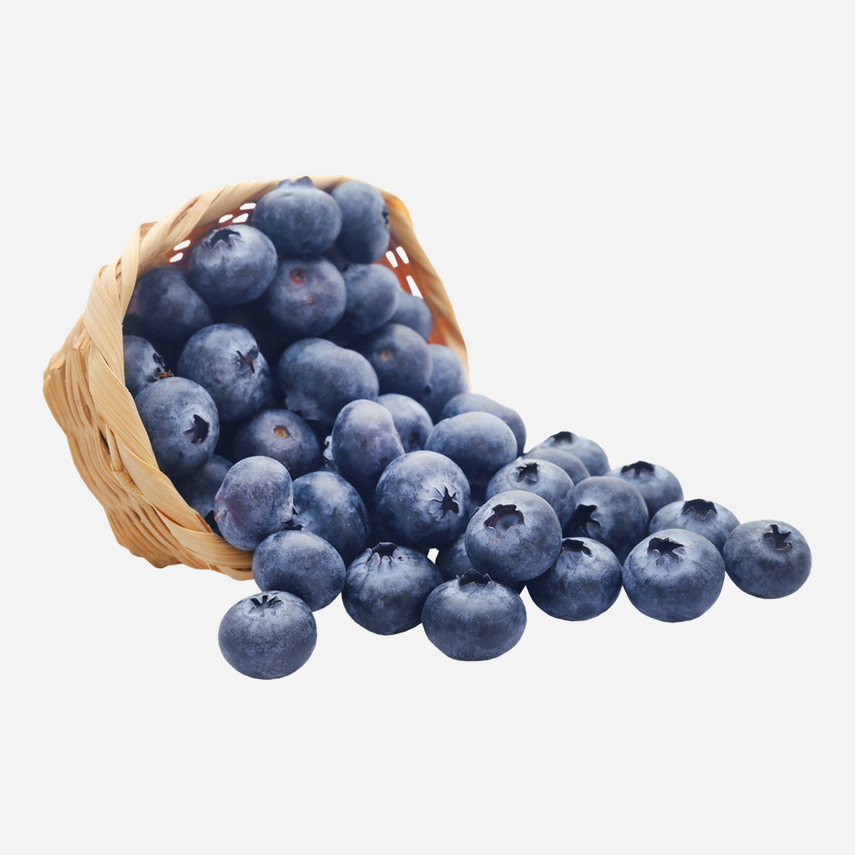 Blueberries — Basket of Fresh Blueberries (Natural)