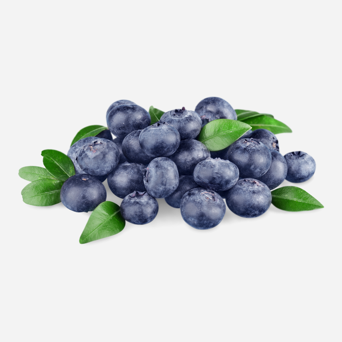 Hand-Picked Highbush Blueberries