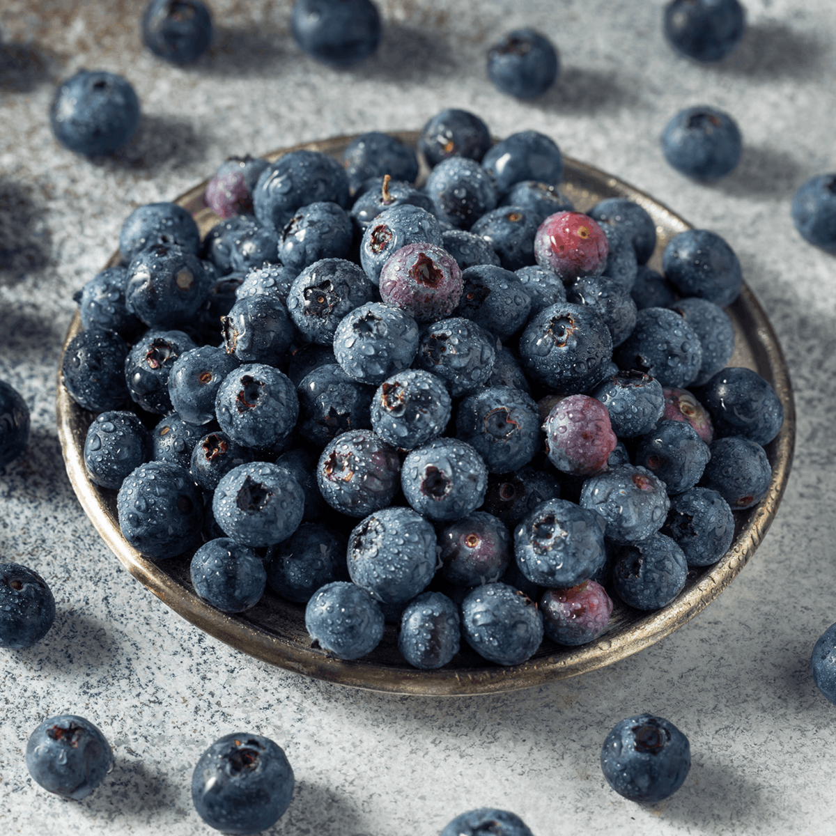 Hand-Picked Highbush Blueberries
