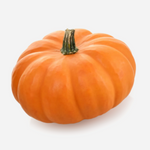 Organic Harvest Field Pumpkin