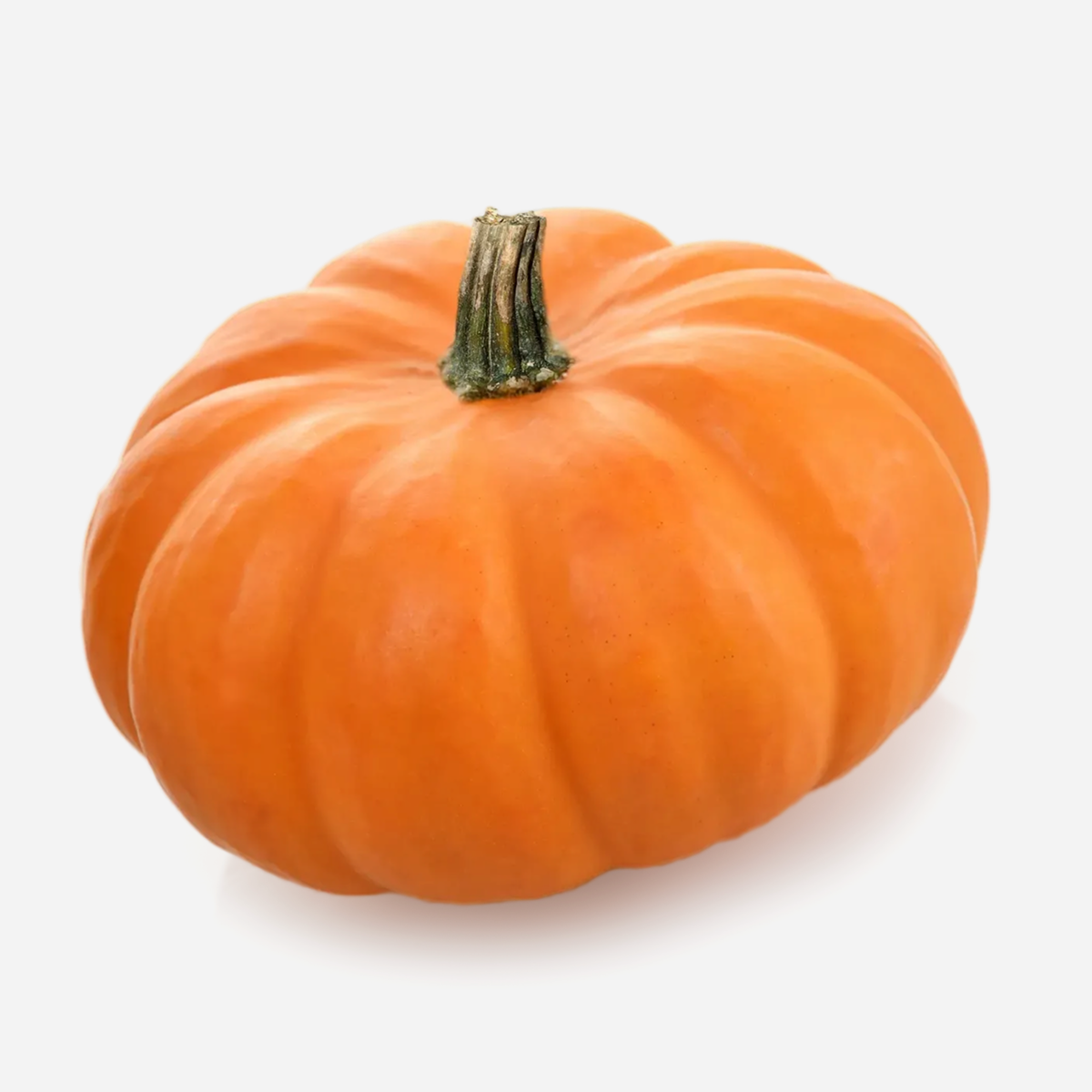 Organic Harvest Field Pumpkin