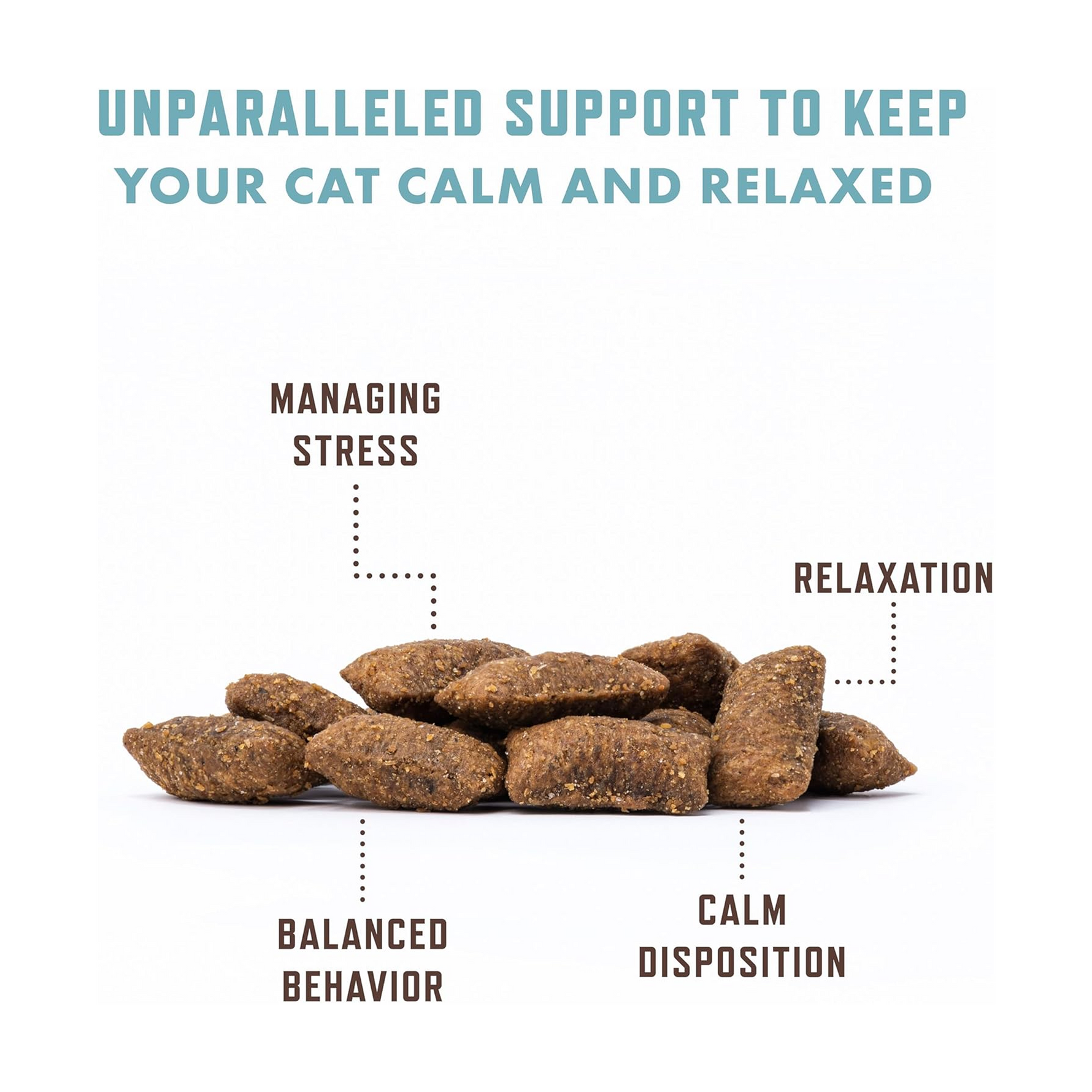 Probiotic Health Supplement for Cats