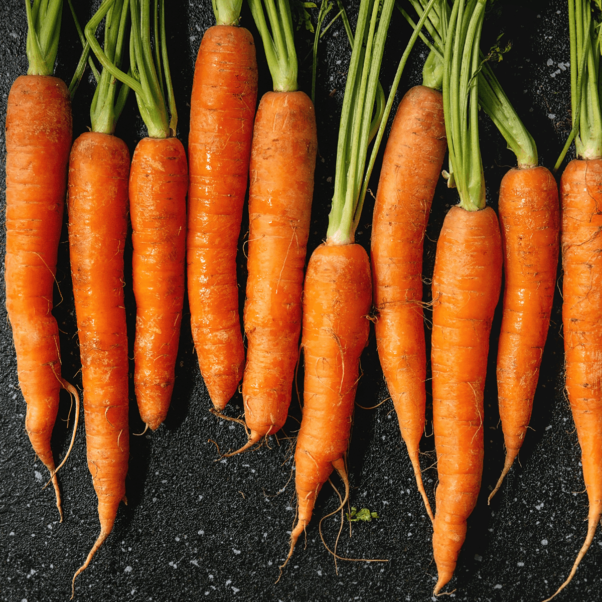 Premium Farm-Fresh Carrots