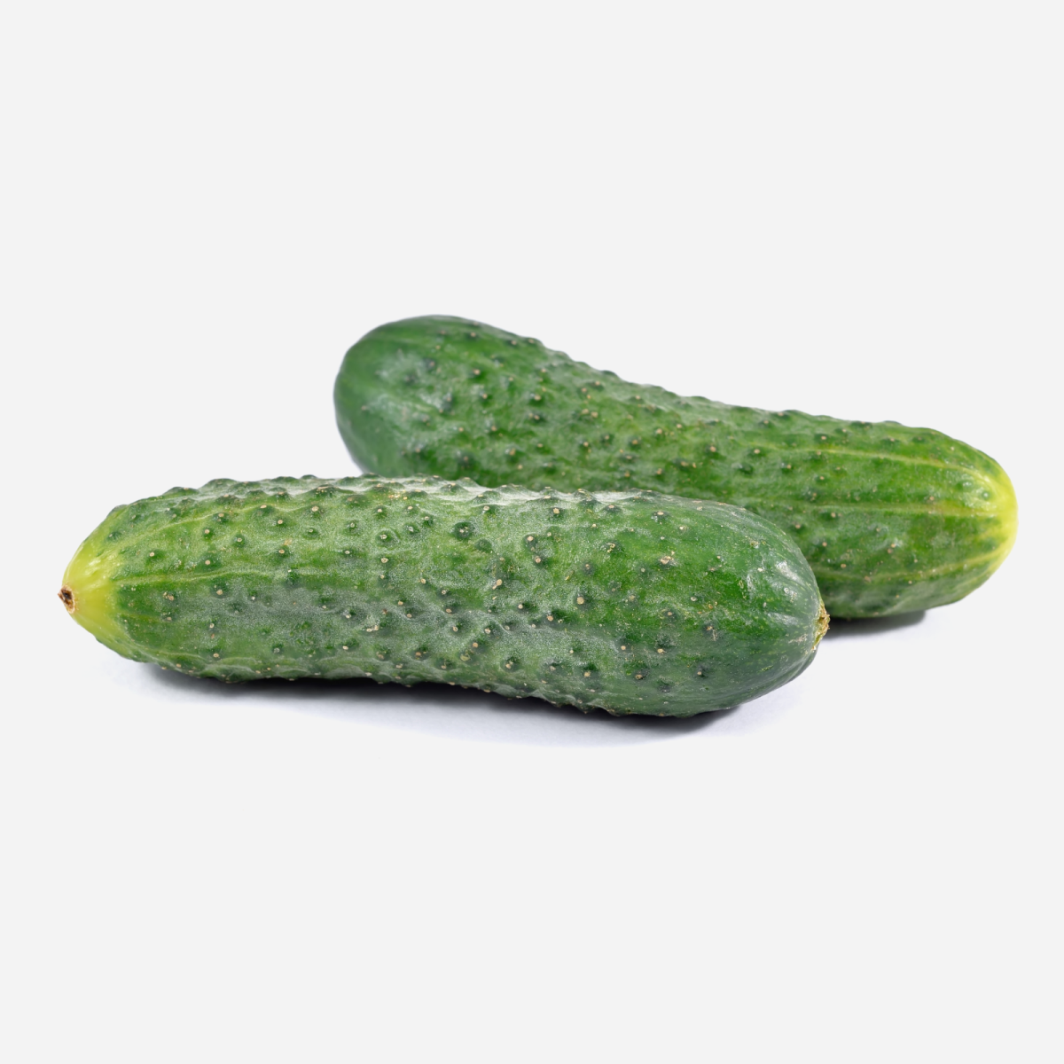 Garden Crisp Seedless Cucumbers