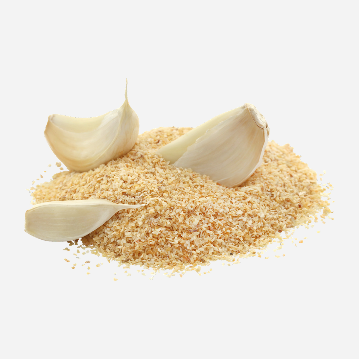 Garlic Salt Seasoning (200g)