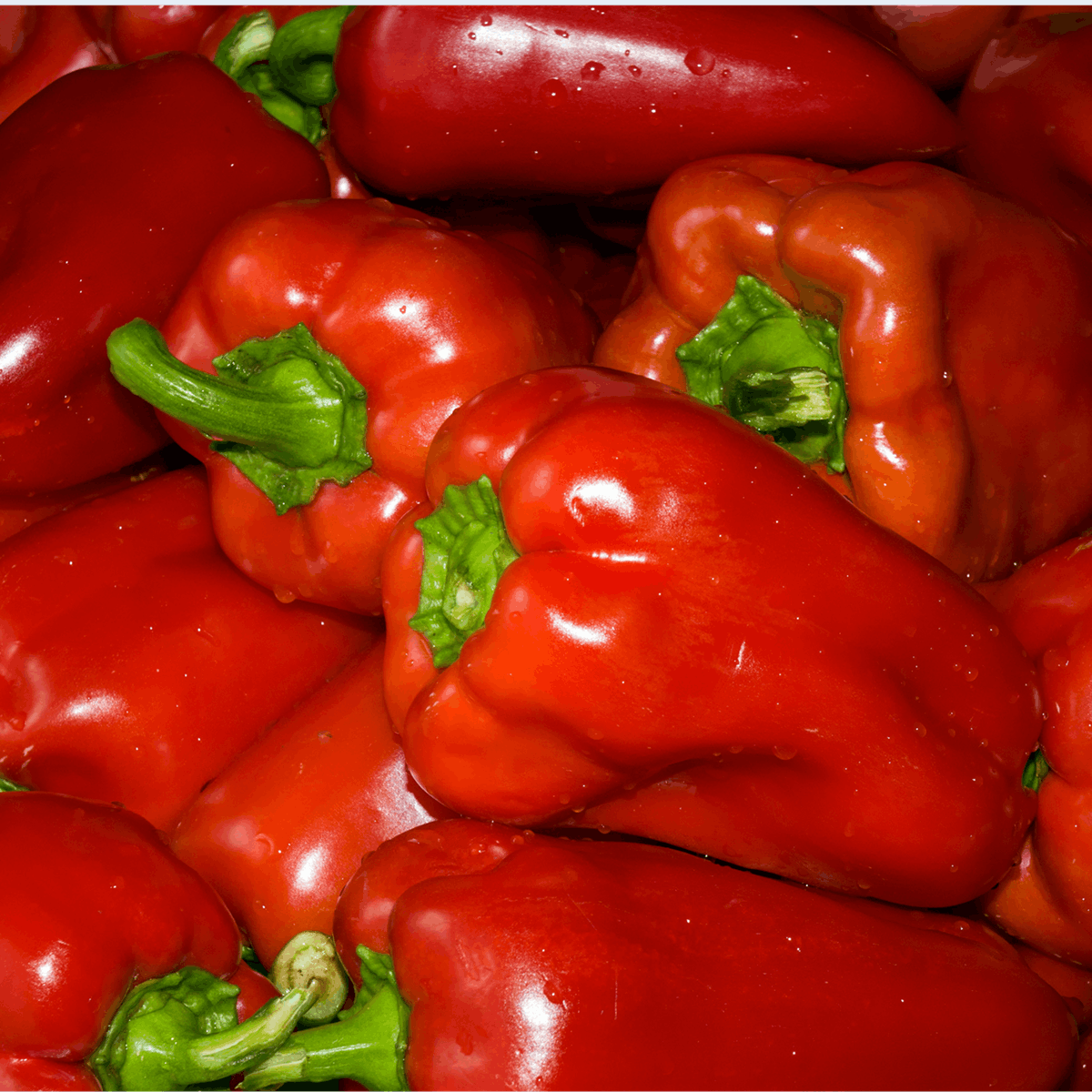 Sweet Red Bell Peppers