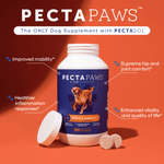 Advanced Joint & Mobility Supplement for Dogs