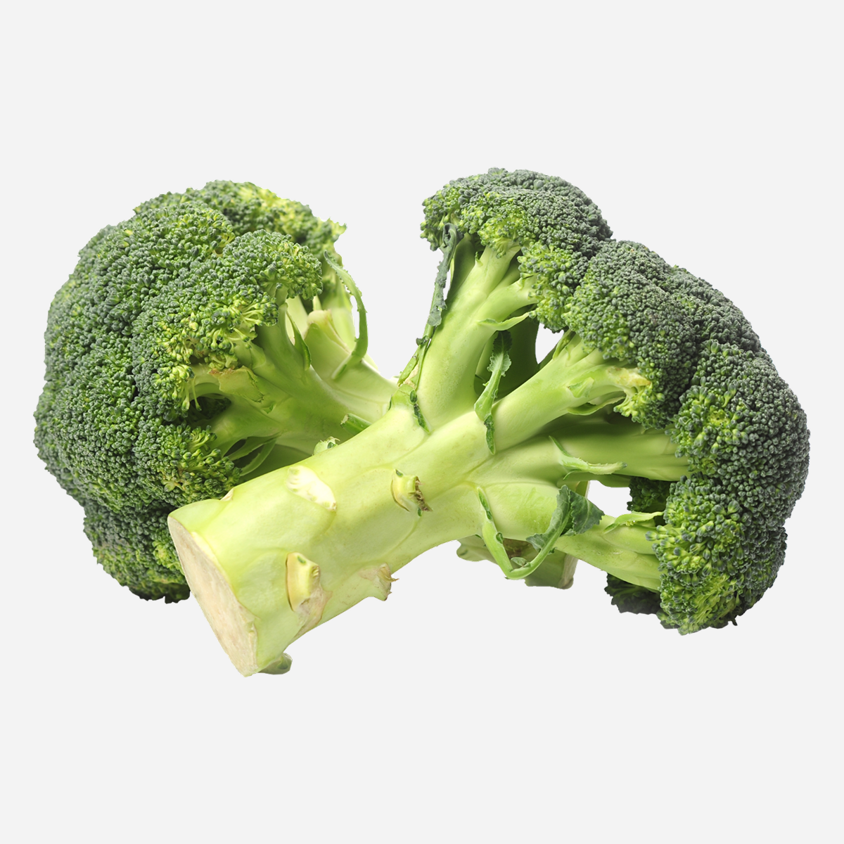 Fresh Organic Broccoli Florets