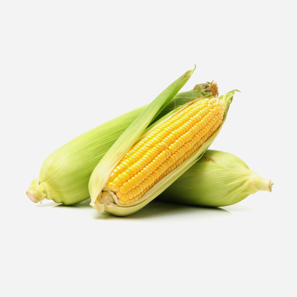 Sweet Golden Summer Corn