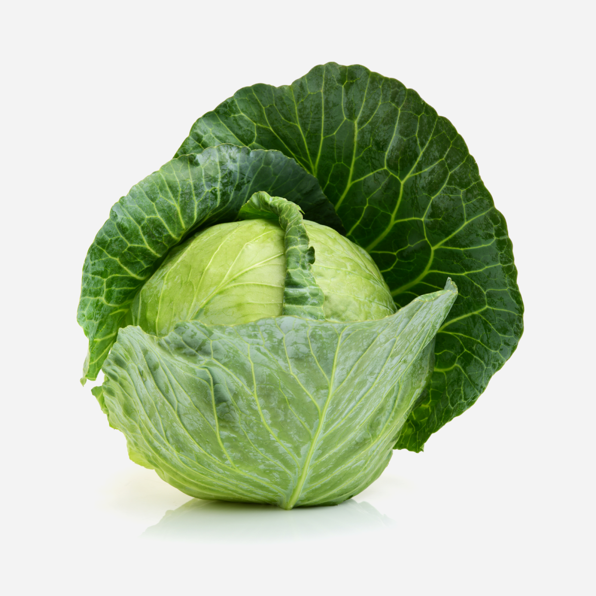 Farm-Fresh Green Cabbage
