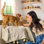 Meow Mix Gravy Bursts Dry Cat Food