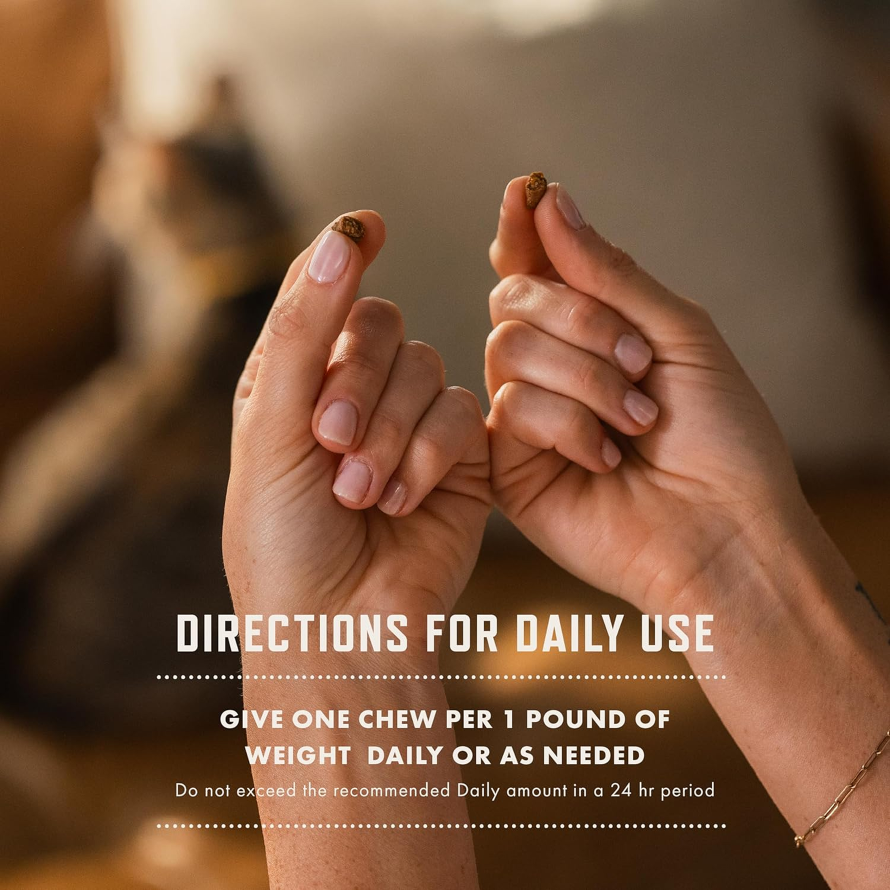 Probiotic Health Supplement for Cats