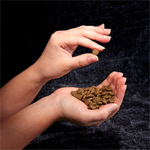CRAVE High Protein Grain-Free Cat Food