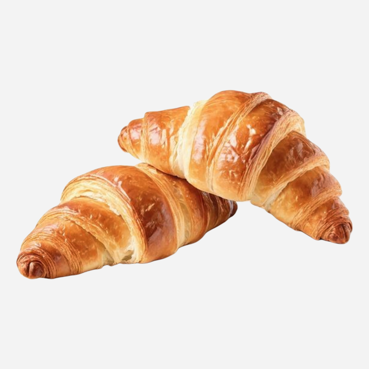 Texte alternatif de l'image