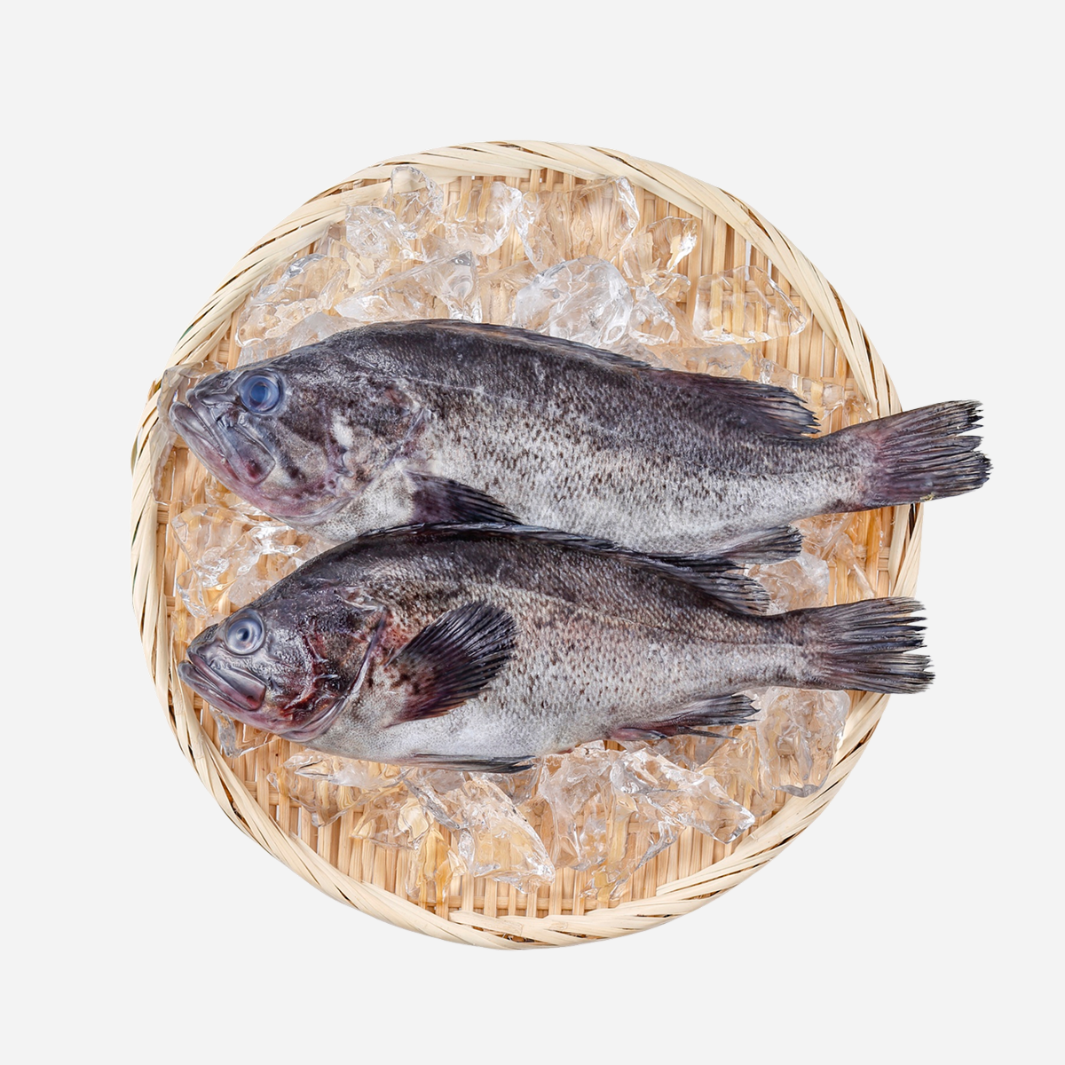 Black Rockfish — Whole Fresh Rockfish (per 600–900 g)