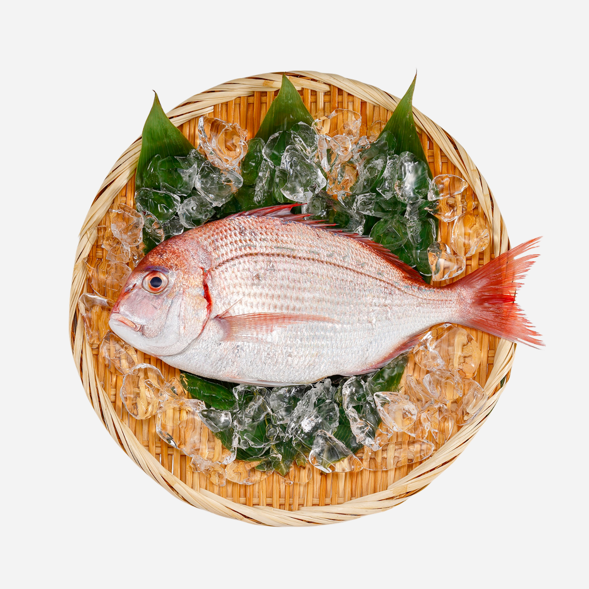 Red Sea Bream — Whole Fresh Sea Bream (per fish 600–900 g)