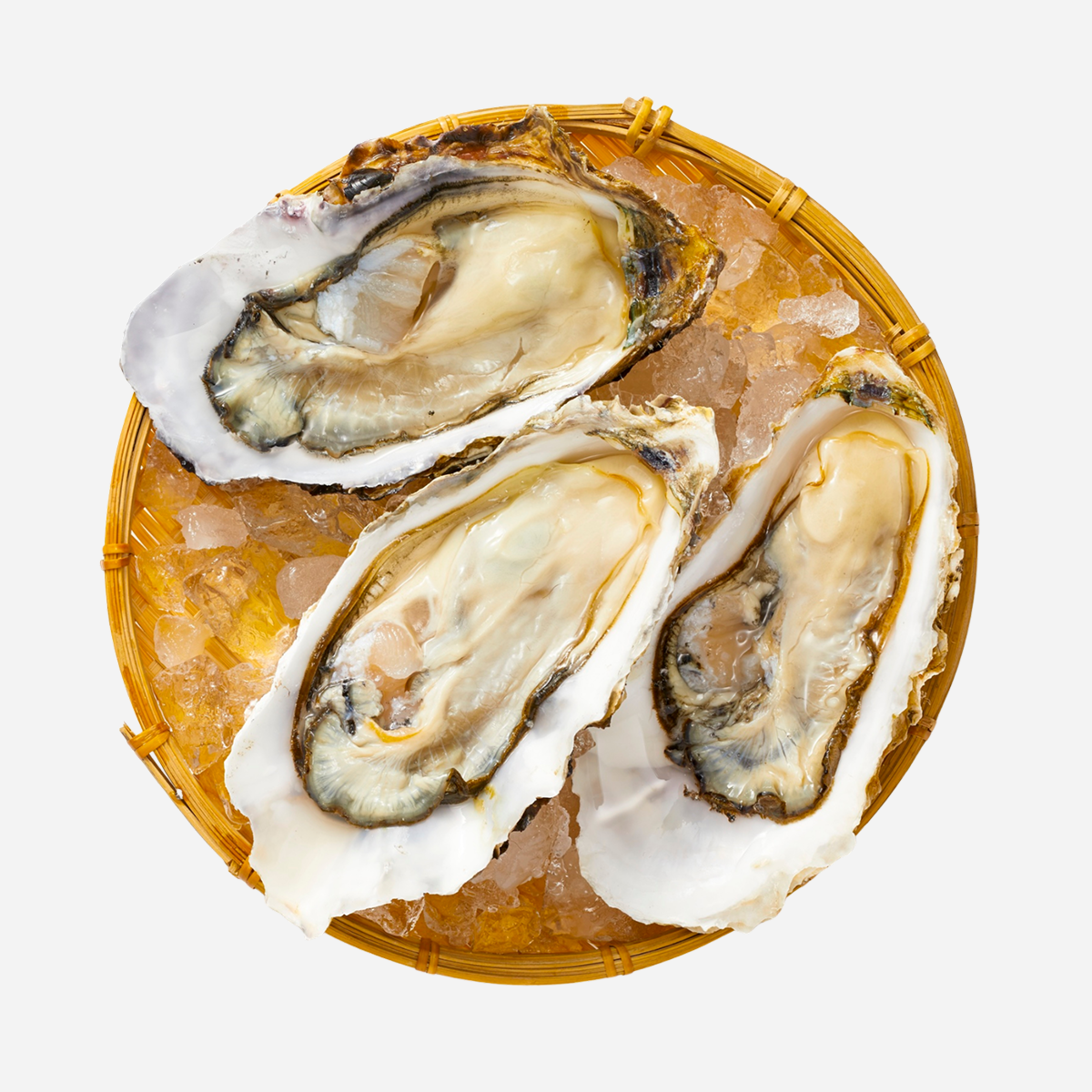 Fresh Oysters — Shucked Oysters Dozen (12 pcs)