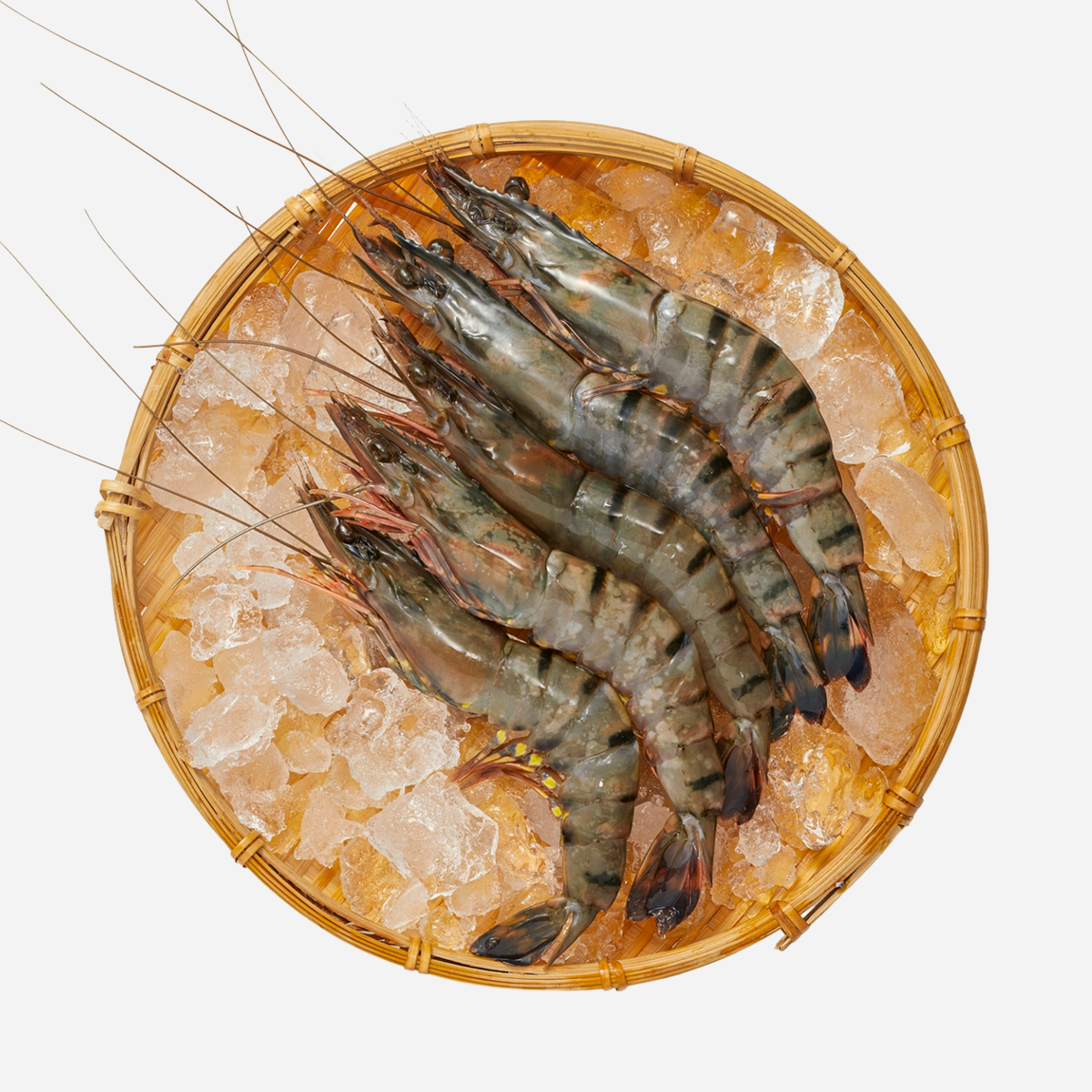 Raw Peeled Shrimp — Raw Deveined Shrimp (per 500 g)