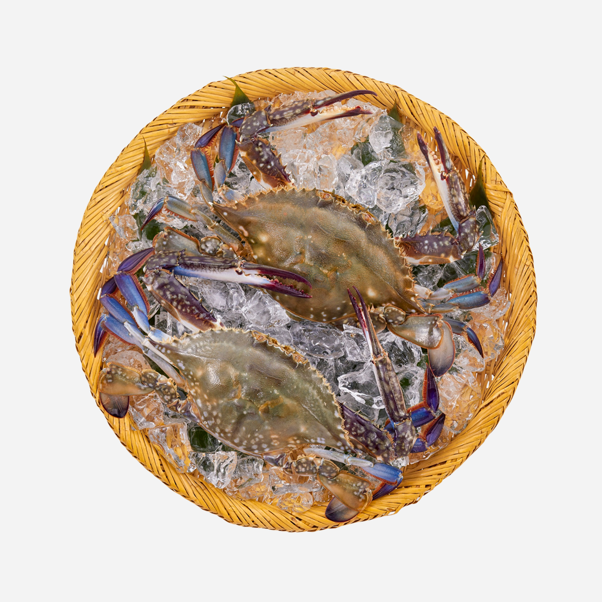 Live Blue Swimming Crab — Fresh Blue Swimming Crab (per 1 kg)