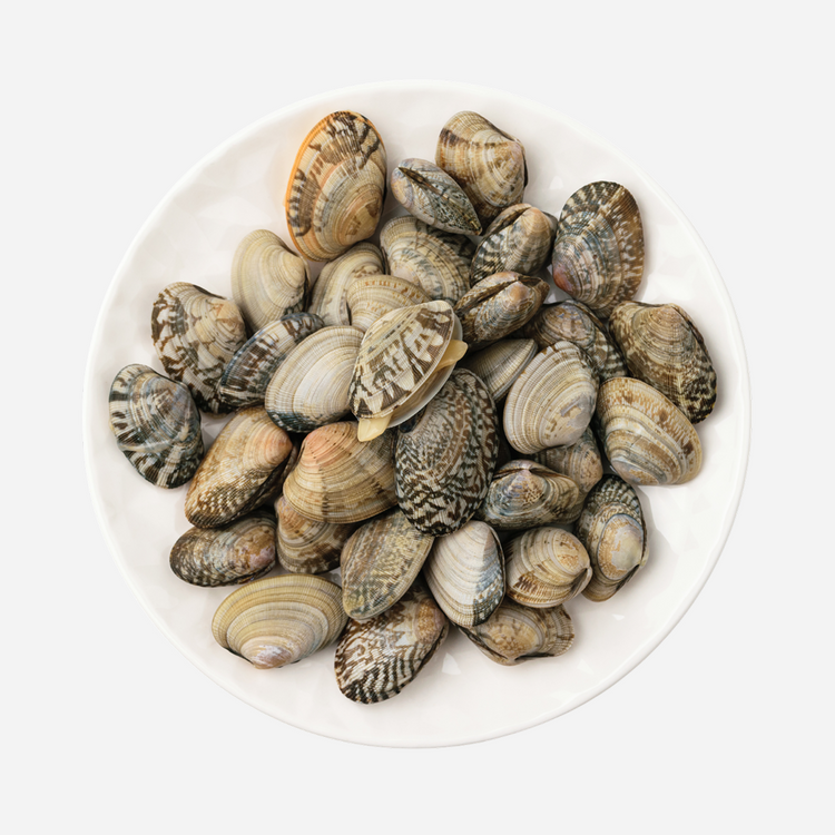 Mixed Baby Clams — Fresh Baby Clams Assortment (per 500 g)