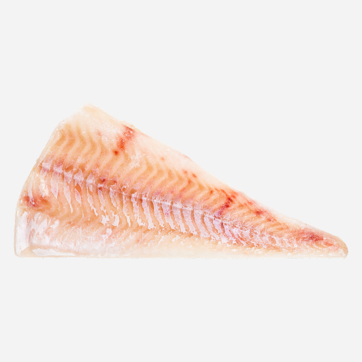 Red Snapper Fillet — Fresh Snapper Fillet