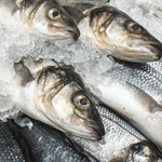 Sea Bass Fillet — Fresh Sea Bass (Boneless)