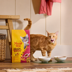 Meow Mix Gravy Bursts Dry Cat Food