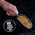 CRAVE High Protein Grain-Free Cat Food