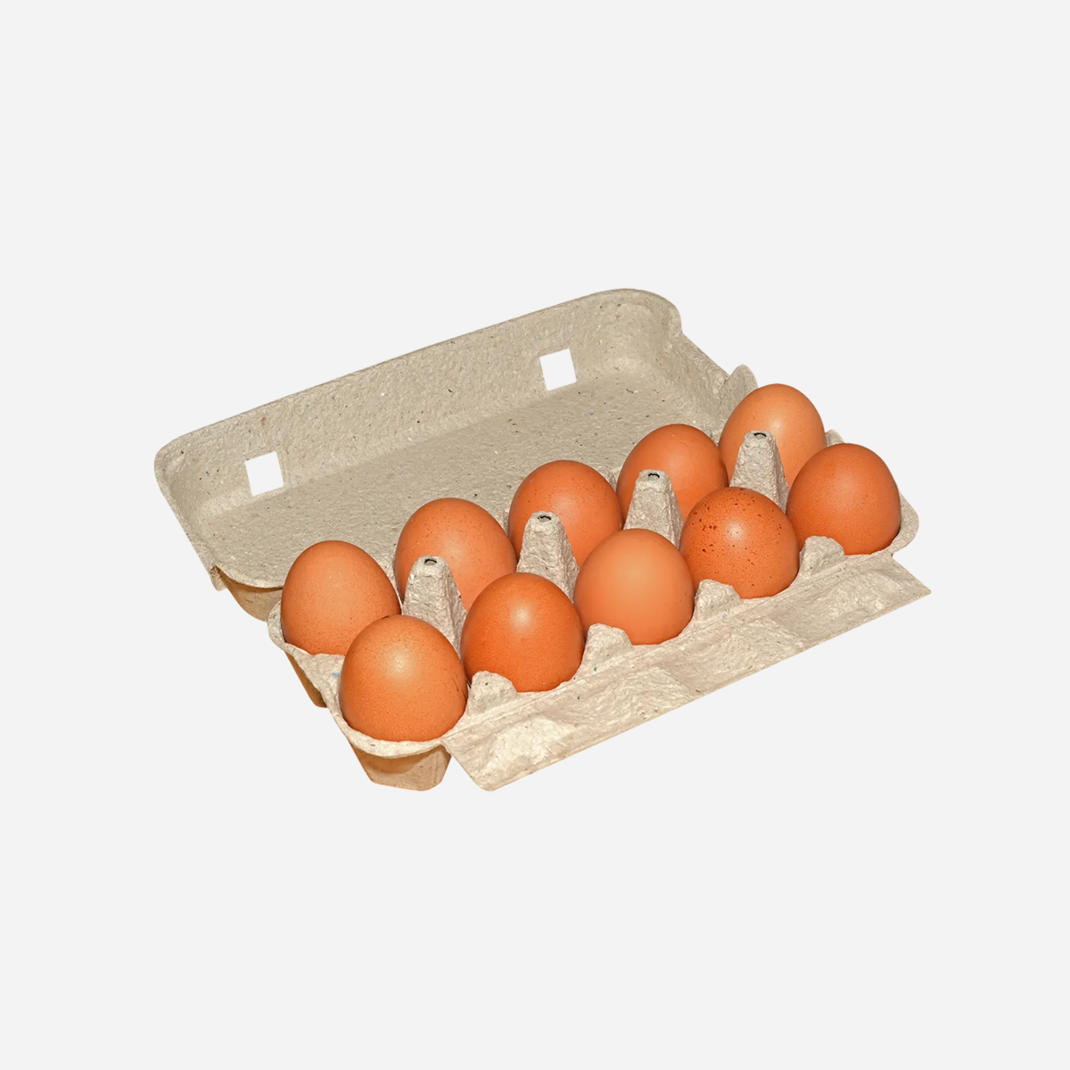 Organic Free-Range Eggs - Eco-Friendly 10-Pack Carton