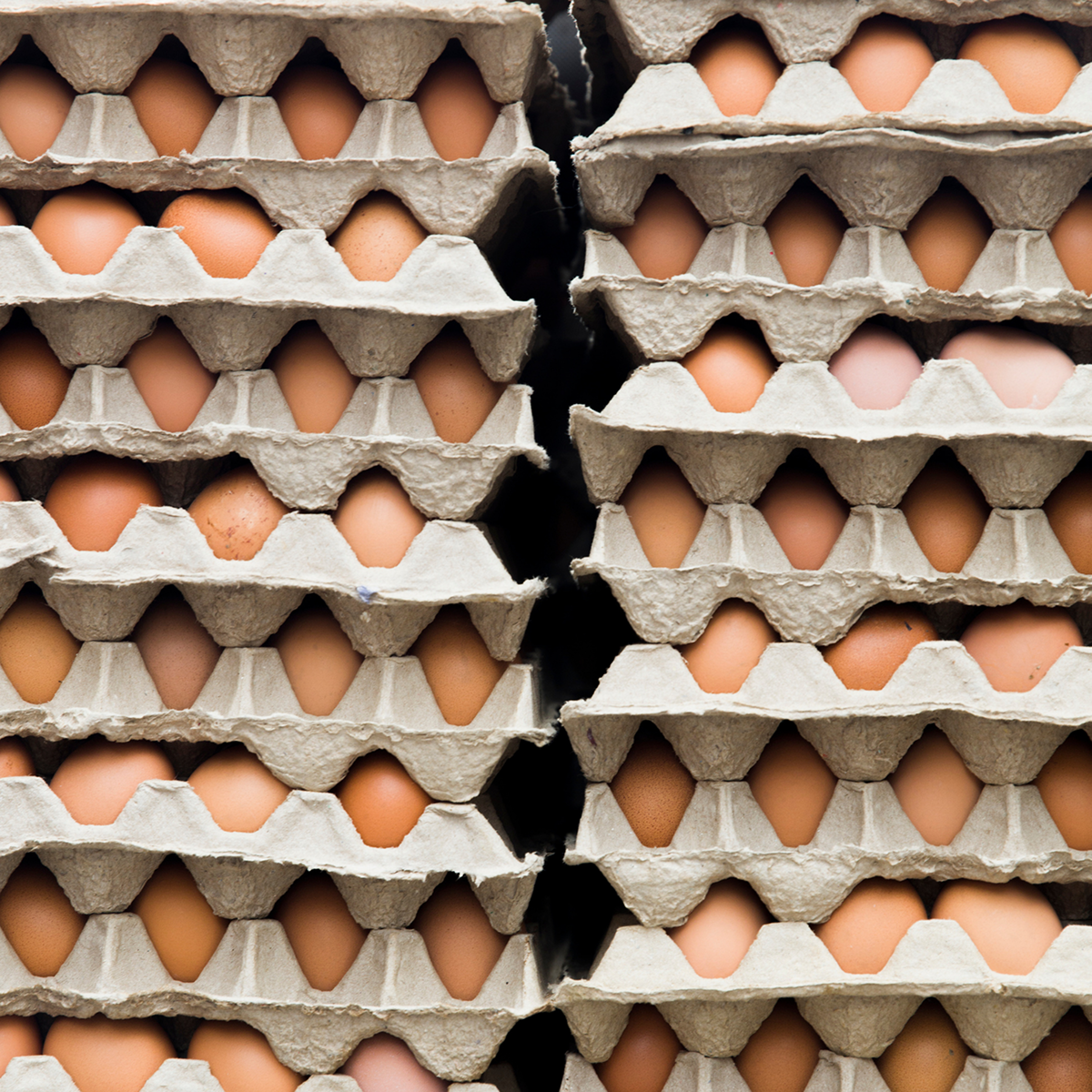 Texte alternatif de l'image