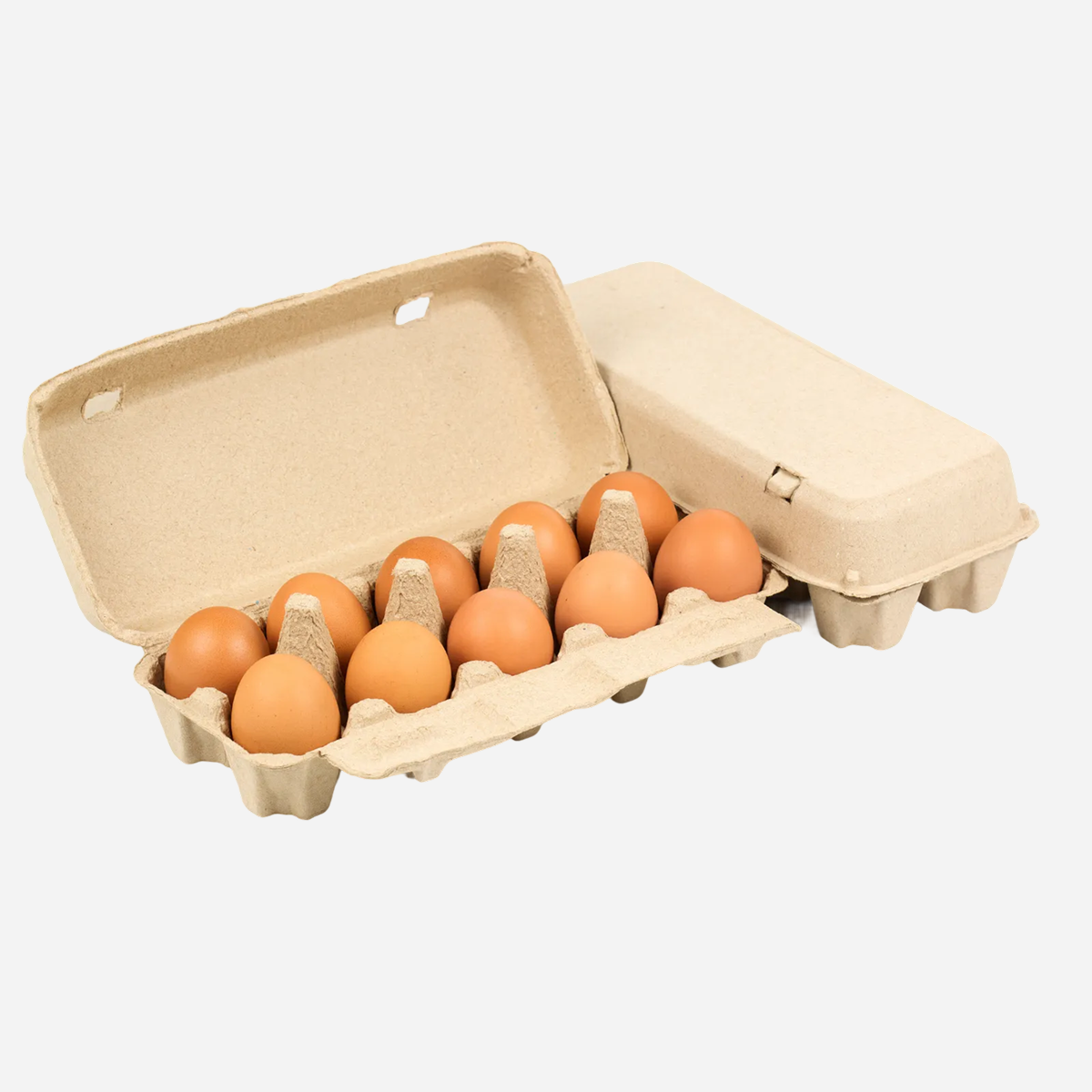 Commercial Wholesale Egg Crates - Bulk Supply