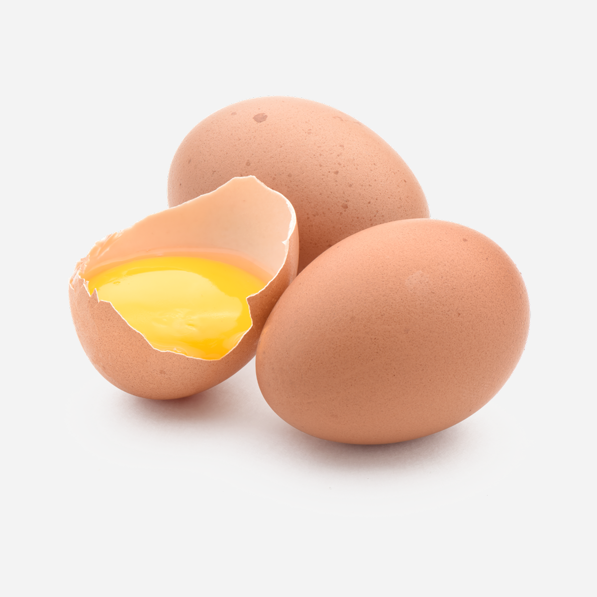 Texte alternatif de l'image