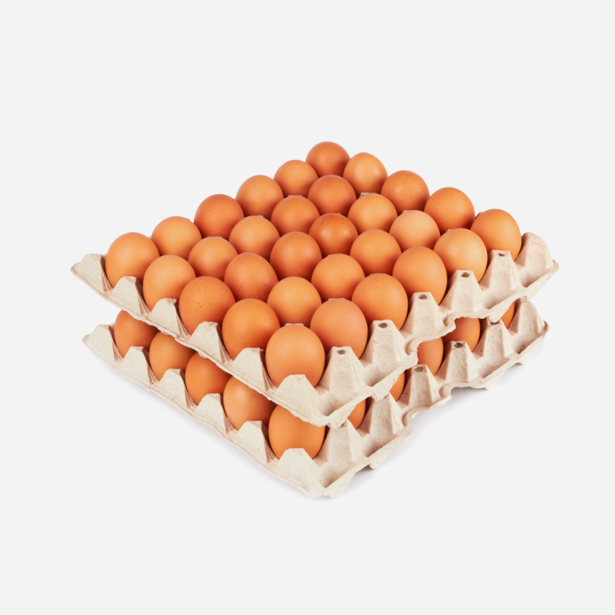 Mega Saver Bundle - 60 Count Double Stack